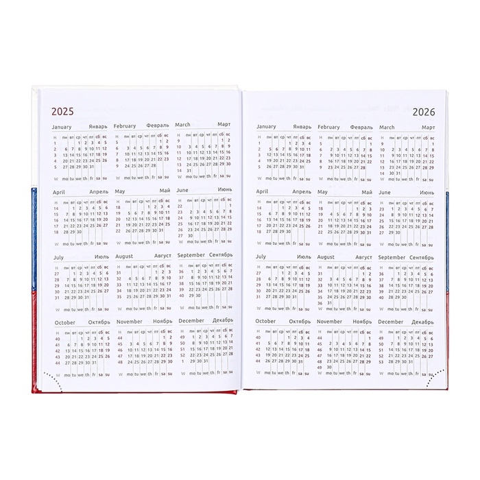 Ежедневник датированный 2025 года, deVENTE. Flag, A5 168 листов, твердая обложка кожзам с поролоном, тиснение фольгой, перфорация, ляссе, блок 70 г/м2