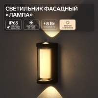 Светильник фасадный &laquo;Лампа&raquo;, FSD-061, 8 Вт, 3000К, IP65, 220 В, пластик, черный