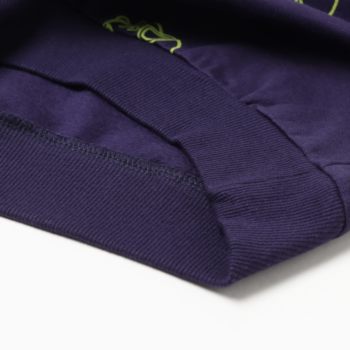 Свитшот для мальчика, цвет тёмно-синий/дино, рост 110 см