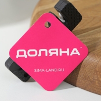 Точилка для ножей Доляна &laquo;Ловкач&raquo;, 2 деления, цвет чёрный