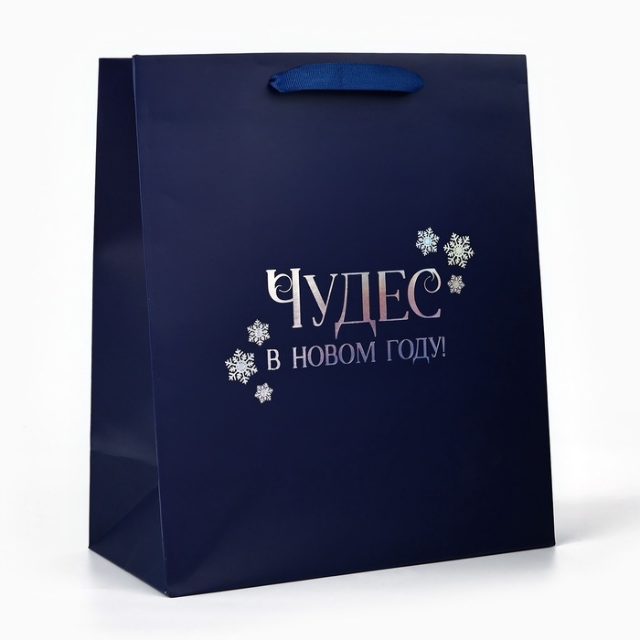Пакет подарочный новогодний &laquo;Чудес в Новом году&raquo;, голография, ML 23 х 11.5 х 27 см, Новый год