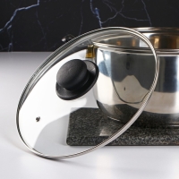 Крышка стеклянная для сковороды и кастрюли &laquo;Доляна&raquo;, d=24 см, нержавеющий обод, пластиковая ручка