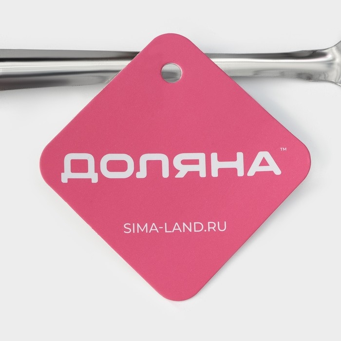 Сито для снятия пены Доляна &laquo;Металлик&raquo;, 24&times;7,5 см, цвет серебристый