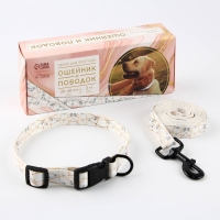 Набор «Мрамор», застёжка - фастекс, поводок 2 м и ошейник 28-46 см Набор «Мрамор», застёжка - фастекс, поводок 2 м и ошейник 28-46 см