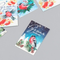 Бирка картон "НГ Снегирь" набор 10 шт (5 видов) 4х6 см Бирка картон "НГ Снегирь" набор 10 шт (5 видов) 4х6 см