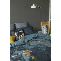 Постельное бельё "Этель" 2 сп Путешествие 175х215 см, 200х220 см, 50х70+3 см - 2 шт, ранфорс