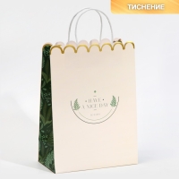 Пакет подарочный крафтовый, упаковка, &laquo;Nice day&raquo;, 23 х 30 х 12 см