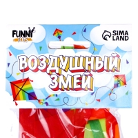 Воздушный змей «Акула» Воздушный змей «Акула»