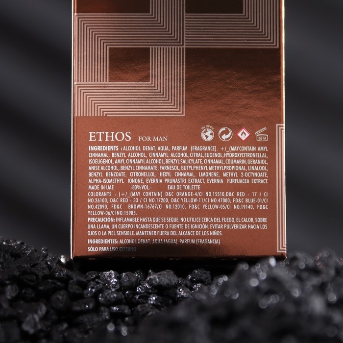 Туалетная вода мужская ETHOS, 100 мл Туалетная вода мужская ETHOS, 100 мл