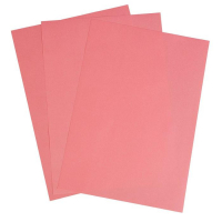 Бумага цветная А4, 100 листов Calligrata Интенсив, красная, 80 г/м² Бумага цветная А4, 100 листов Calligrata Интенсив, красная, 80 г/м²