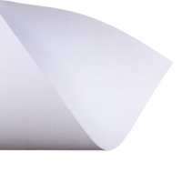 Набор ватманов чертёжных А4, 160 г/м², 20 листов Набор ватманов чертёжных А4, 160 г/м², 20 листов