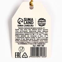 Хэллоуин леденец &laquo;Ведьмы не стареют&raquo; с печатью, вкус: кола, 25 г.