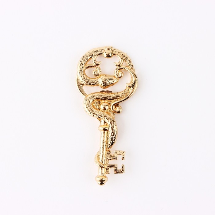 Ключ сувенирный новогодний «Новый год: К денежной удаче», 2.4 х 5.2 см Ключ сувенирный новогодний «Новый год: К денежной удаче», 2.4 х 5.2 см