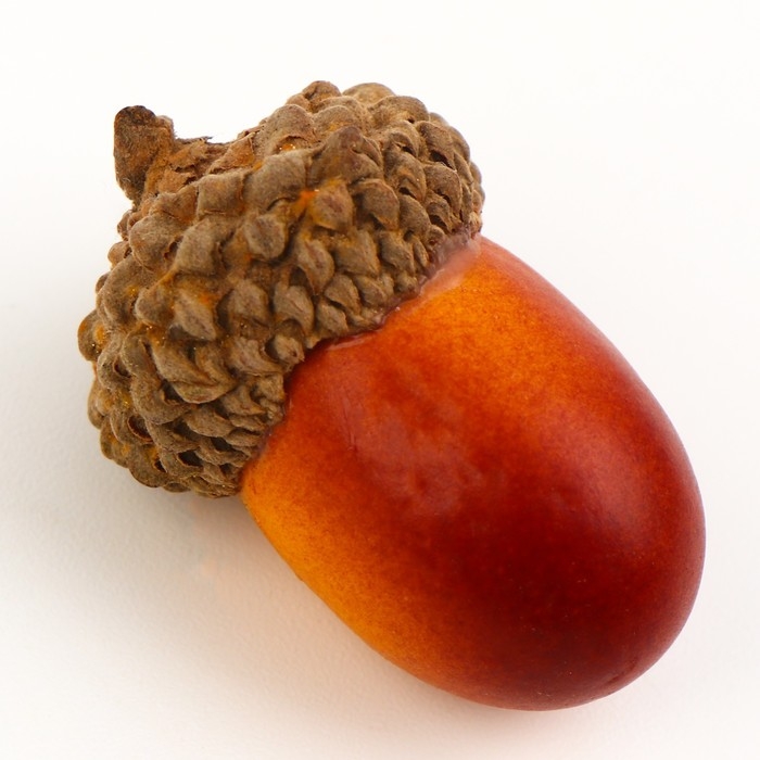 Декор «Жёлудь» набор 50 шт., размер: 2,5 × 1,5 см Декор «Жёлудь» набор 50 шт., размер: 2,5 × 1,5 см