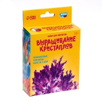 Выращивание кристаллов «Опыты. Лучистый кристалл», цвет фиолетовый Выращивание кристаллов «Опыты. Лучистый кристалл», цвет фиолетовый