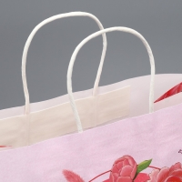 Пакет подарочный крафтовый, упаковка, «Тебе», цветы, 32 х 28 х 15 см Пакет подарочный крафтовый, упаковка, «Тебе», цветы, 32 х 28 х 15 см