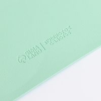 Коврик под миску форменный &laquo;Лапка&raquo;, 39 х 30 см, мятный