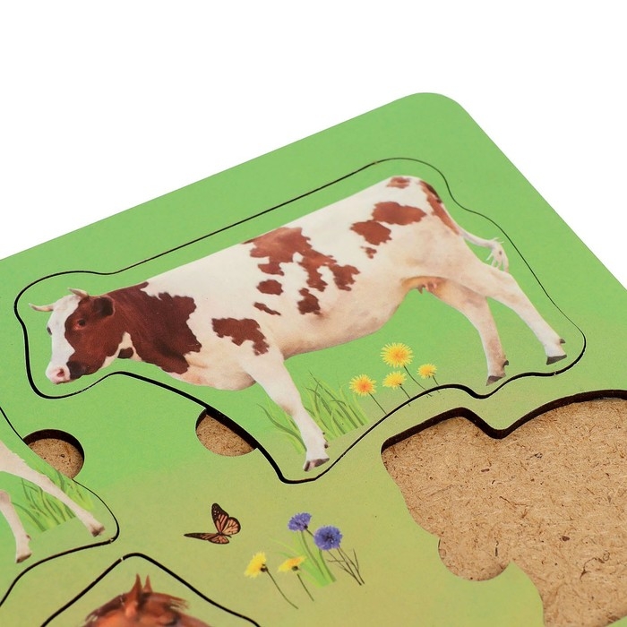 Рамка-вкладыш &laquo;Домашние животные&raquo;