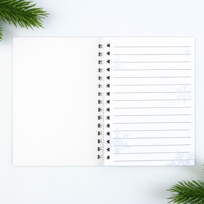 Подарочный набор новогодний, блокнот на спирали А6, 60листов и магнитные закладки 2 шт. &laquo;Врывайся в новый год&raquo;