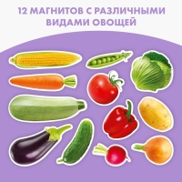 Магнитная игра &laquo;&lrm;Овощи&raquo;&lrm;