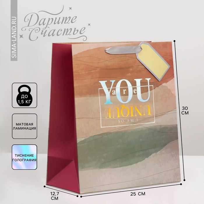 Пакет подарочный ламинированный, упаковка, &laquo;Ты особенный&raquo;, 25.4 х 30.5 х 12.7 см
