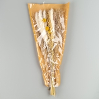 Сухоцветы &laquo;Сказка&raquo;, набор из 4 видов, 48 &times; 16 &times; 6 см