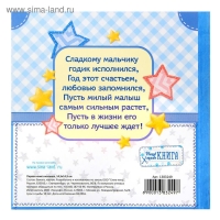 Фотокнига книга "Мой первый год", малыш Фотокнига книга "Мой первый год", малыш