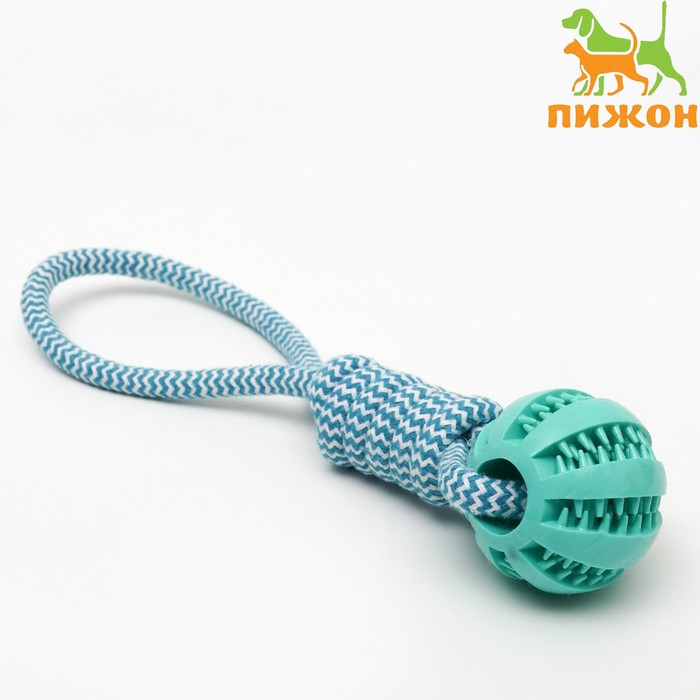 Игрушка канатная плетёная с мячом, до 30 см, до 120 г, голубая Игрушка канатная плетёная с мячом, до 30 см, до 120 г, голубая
