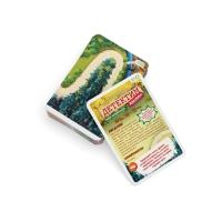 Настольная игра &laquo;Детектим. Гонка неЧемпионов&raquo;