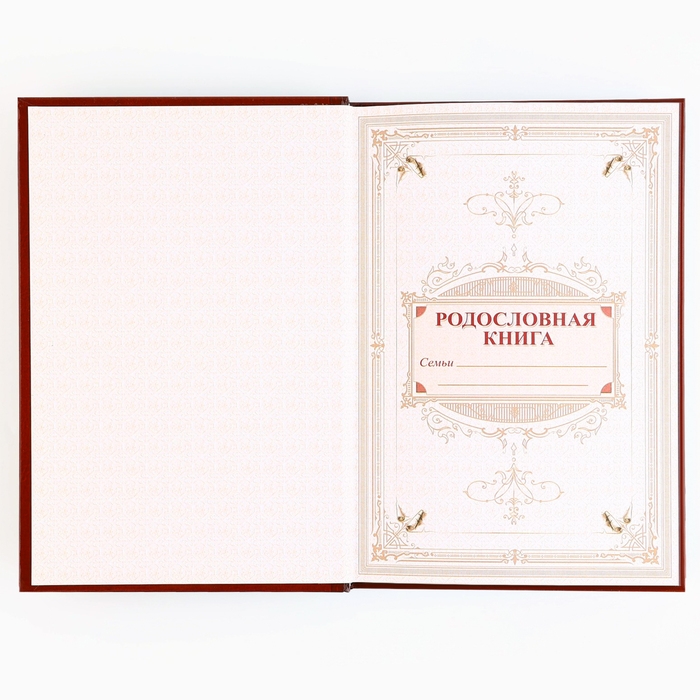 Подарочный набор родословная книга в шкатулке &laquo;Новый год: Дед мороз&raquo;