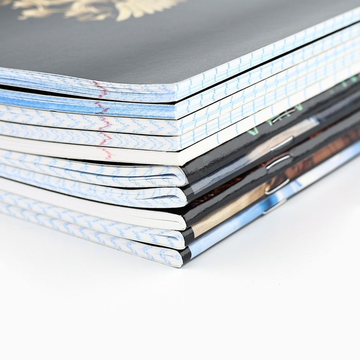 Набор тетрадей 36 листов, 10 предметов, внутренний блок №1 &laquo;1 сентября: Россия&raquo;