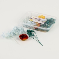 Набор сухоцветов &laquo;Северный рассвет&raquo;