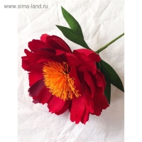 Бумага гофрированная, 586 "Вишневая", 0,5 х 2,5 м Бумага гофрированная, 586 "Вишневая", 0,5 х 2,5 м