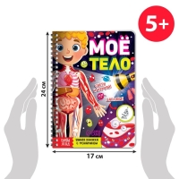 Умная книжка с фонариком &laquo;Моё тело&raquo;. Свети и изучай, 30 стр.