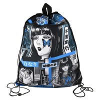 Мешок для обуви с карманом 480 х 360 мм, Феникс, с ручкой "Девушка" Мешок для обуви с карманом 480 х 360 мм, Феникс, с ручкой "Девушка"