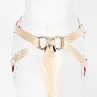 Комплект с мягкой шлейкой "Клетки", размер S, поводок, 120 х 1,5 см, ОГ 28-62 см, красный