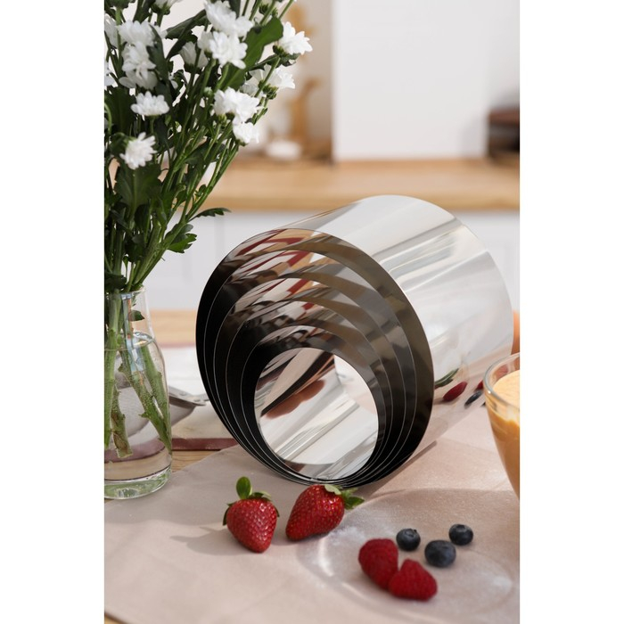 Набор форм для выпечки и выкладки &laquo;Круг&raquo;, d-20, h-15 см, 6 шт