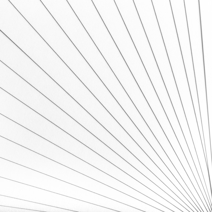 Папка для черчения А4, 24 листа, Гамма Папка для черчения А4, 24 листа, Гамма "Студия" (бумага Гознак СПб), без рамки, 200г/м2