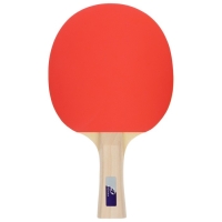 Ракетка для настольного тенниса BOSHIKA Control 10, для начинающих, накладка 1.5 мм, коническая ручка Ракетка для настольного тенниса BOSHIKA Control 10, для начинающих, накладка 1.5 мм, коническая ручка