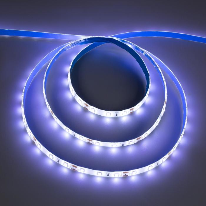 Cветодиодная лента Ecola PRO 5 м, IP65, SMD2550, 60 LED/м, 19 Вт/м, 12 В, 6000К Cветодиодная лента Ecola PRO 5 м, IP65, SMD2550, 60 LED/м, 19 Вт/м, 12 В, 6000К