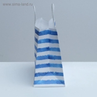 Пакет подарочный крафтовый, упаковка, &laquo;Якорь&raquo;, 32 х 28 х 15 см