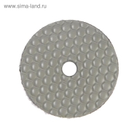 Алмазный гибкий шлифовальный круг ТУНДРА "Черепашка", для сухой шлифовки, 100 мм, № 3000 Алмазный гибкий шлифовальный круг ТУНДРА "Черепашка", для сухой шлифовки, 100 мм, № 3000