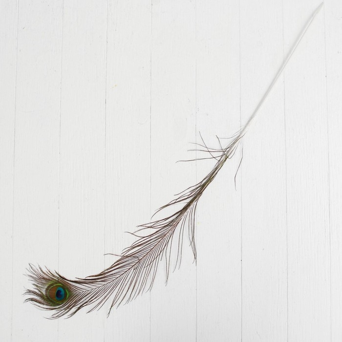 Перо павлина для декора, 1 шт. Перо павлина для декора, 1 шт.