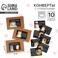 Конверты с наклейками, набор &laquo;Открой, когда...&raquo;, (Кот чб), 10шт., 16 х 11,5 см.