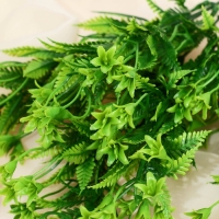 Букет "Зелень ассорти" 28 см, зелёный