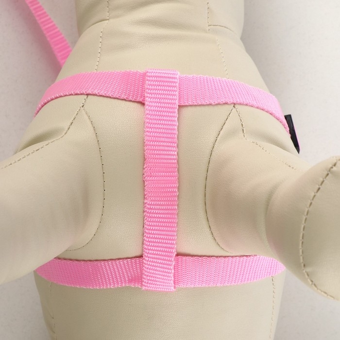 Комплект Комплект "Базис", поводок 120 х 1,5 см, шлейка 32-46 х 1,5 см, розовый