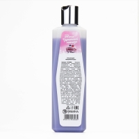 Гель для душа, 250 мл, аромат черничного макаруна, AROMA SOUND by URAL LAB