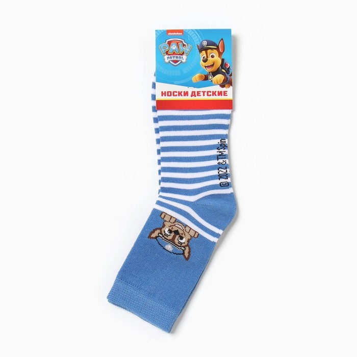 Носки PAW PATROL &laquo;Гончик&raquo;, цвет синий, 14-16 см