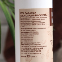 Гель для душа Dream Nature «Шоколадный восторг», 400 мл Гель для душа Dream Nature «Шоколадный восторг», 400 мл