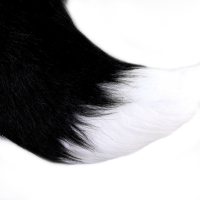 Карнавальный набор &laquo;Лиса аниме&raquo;, чёрный, 2 предмета: хвост, ушки